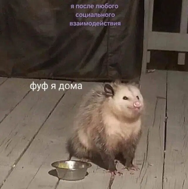 От выгорания меня спасает только дичка (((