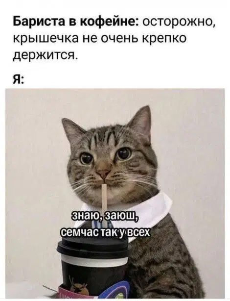 От выгорания меня спасает только дичка (((