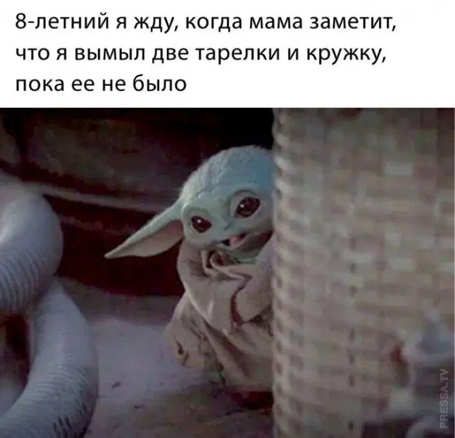 От выгорания меня спасает только дичка (((