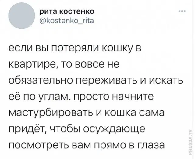 От выгорания меня спасает только дичка (((