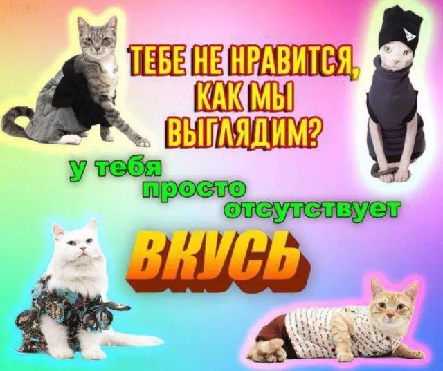 Дичкоооо