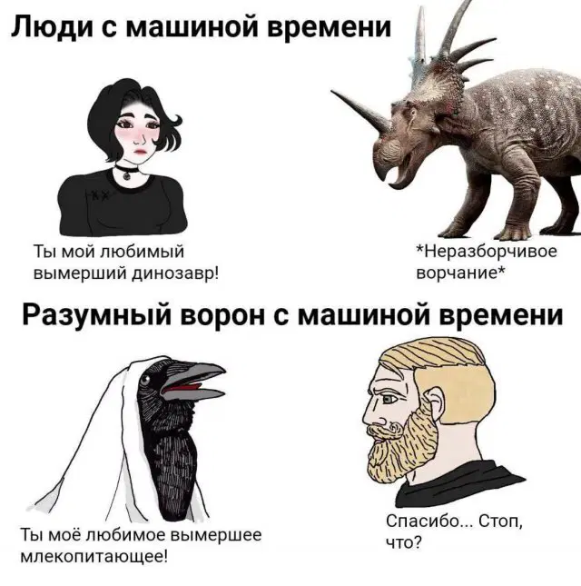 Дичкоооо