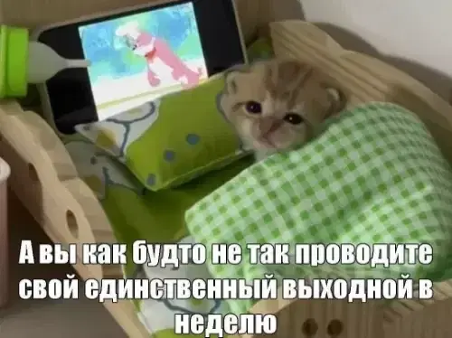 Дички на субботу