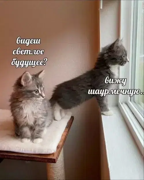 Дички на субботу