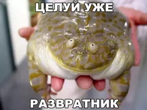 Дички на субботу