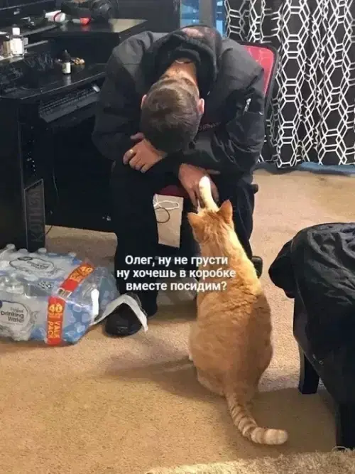 Дички на субботу