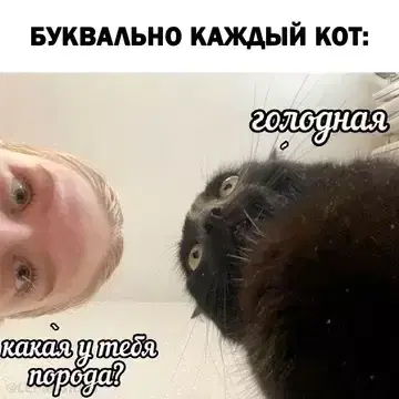 Дички на субботу