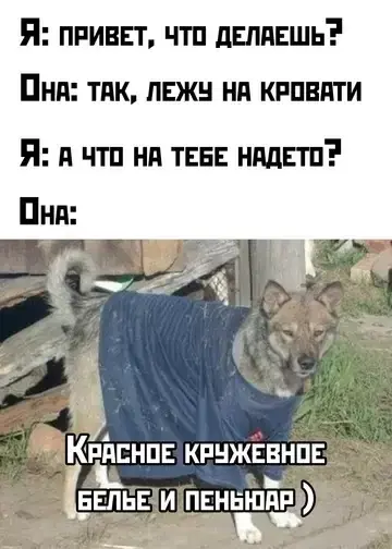 Дички на субботу