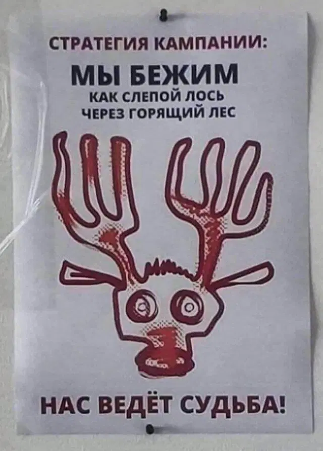 Дички в утро все для нее