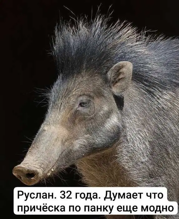 Дички в утро все для нее