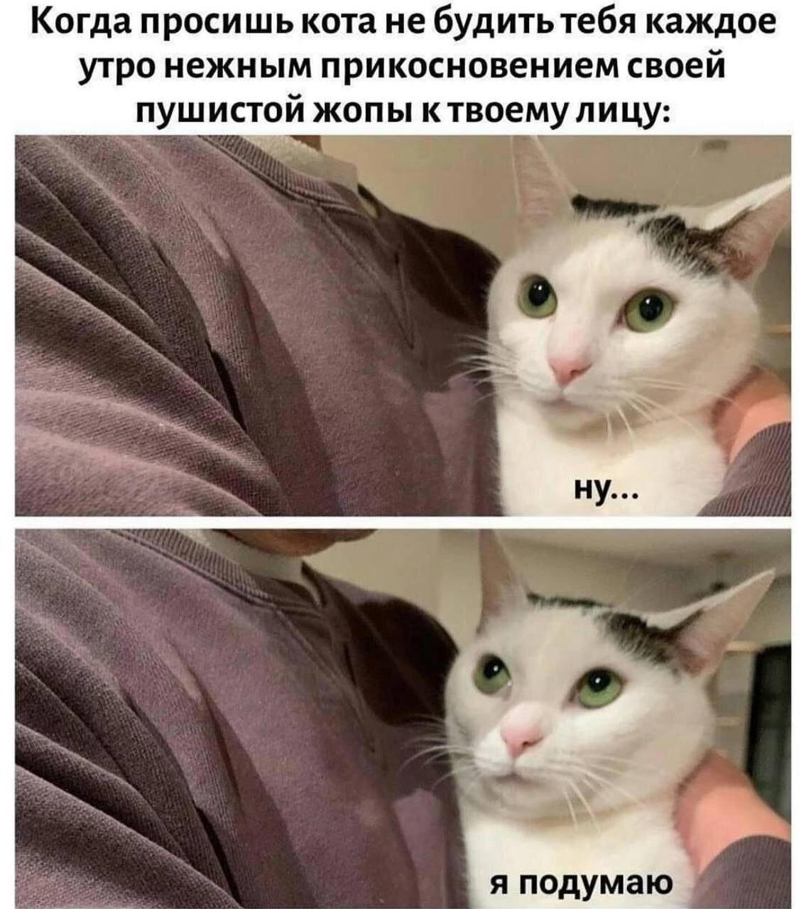 Дички в утро все для нее