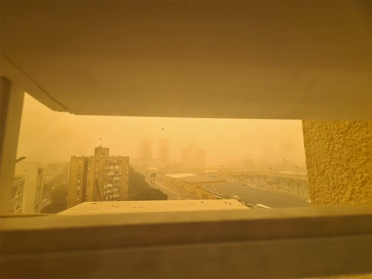 И всё-таки они не врали про Мексику