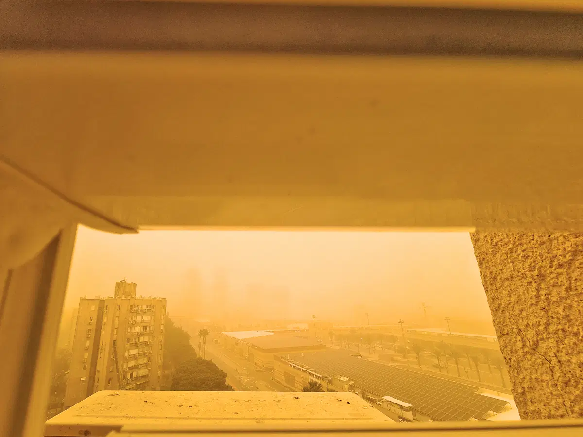 И всё-таки они не врали про Мексику