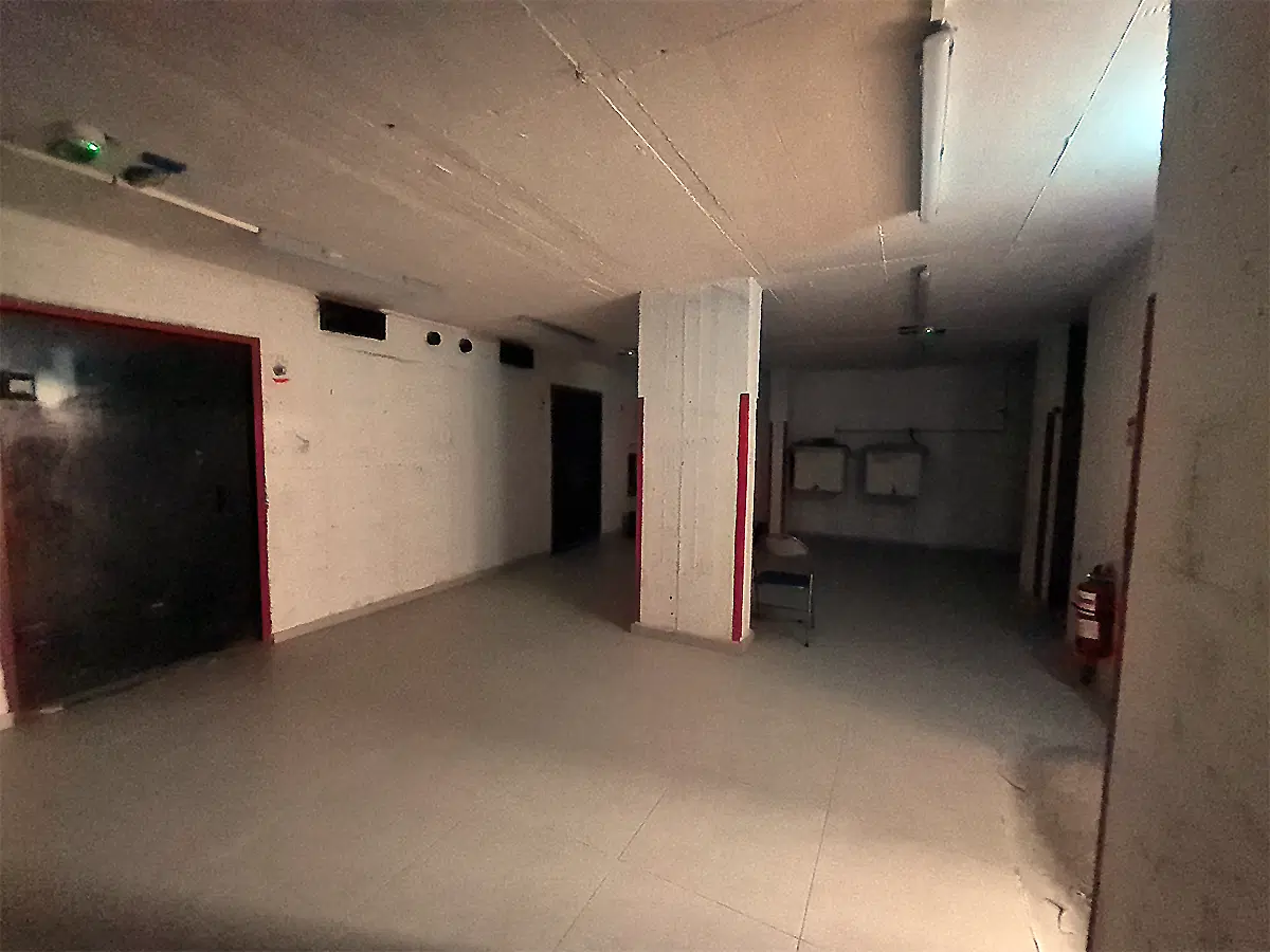 Ведро мышей, или взгляд изнутри войны