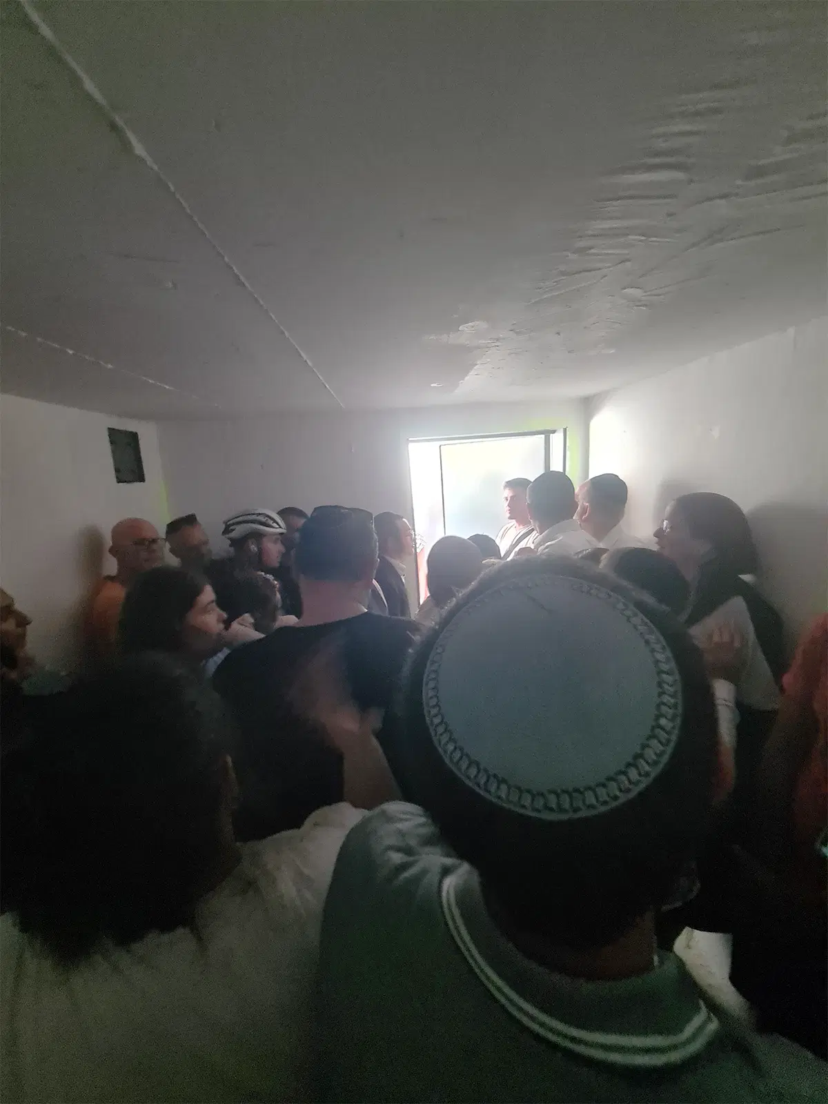 Ведро мышей, или взгляд изнутри войны