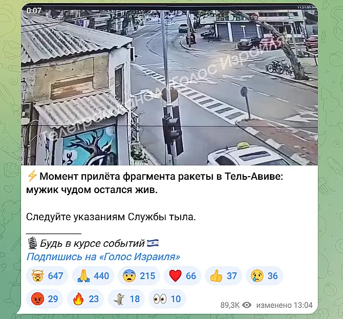 Ведро мышей, или взгляд изнутри войны