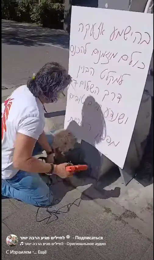 Пока искала материал, наткнулась на пост, где всех нуждающихся в укрытии приглашают в свой дом.