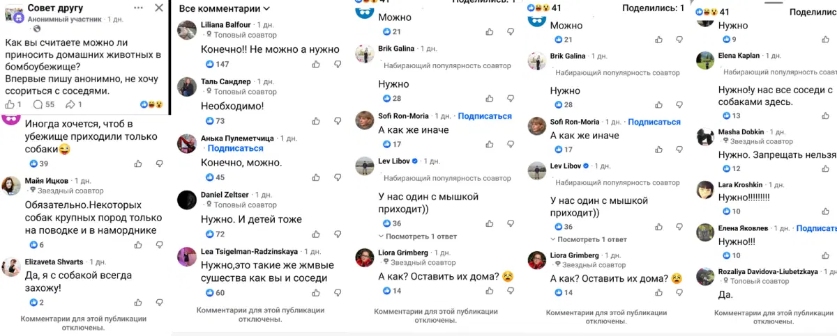 Ведро мышей, или взгляд изнутри войны