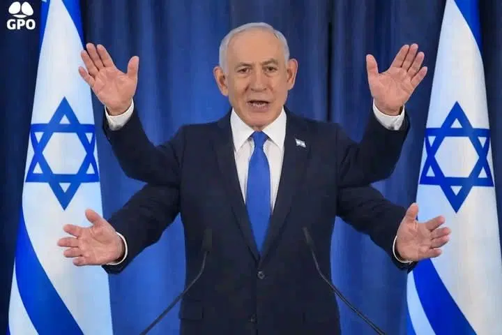 Ведро мышей, или взгляд изнутри войны