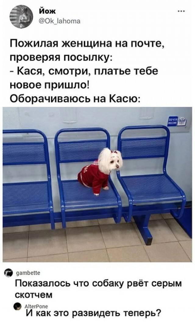 Дичка на хорошую неделю