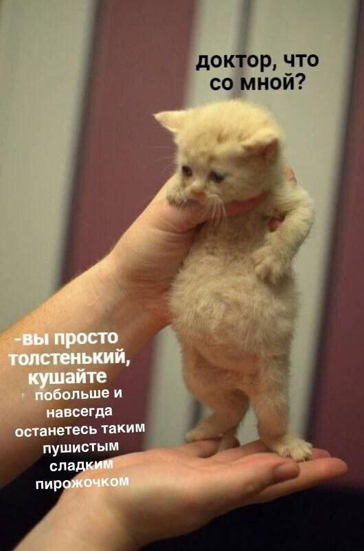 Дичка на хорошую неделю