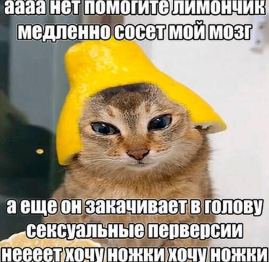 Дичка на хорошую неделю