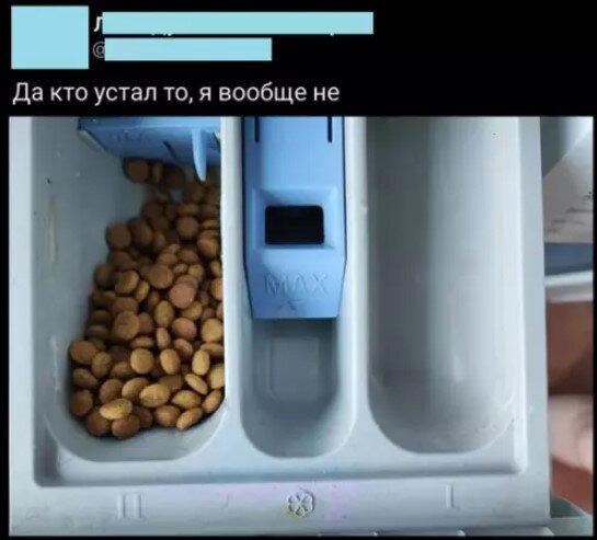 Дичка на хорошую неделю