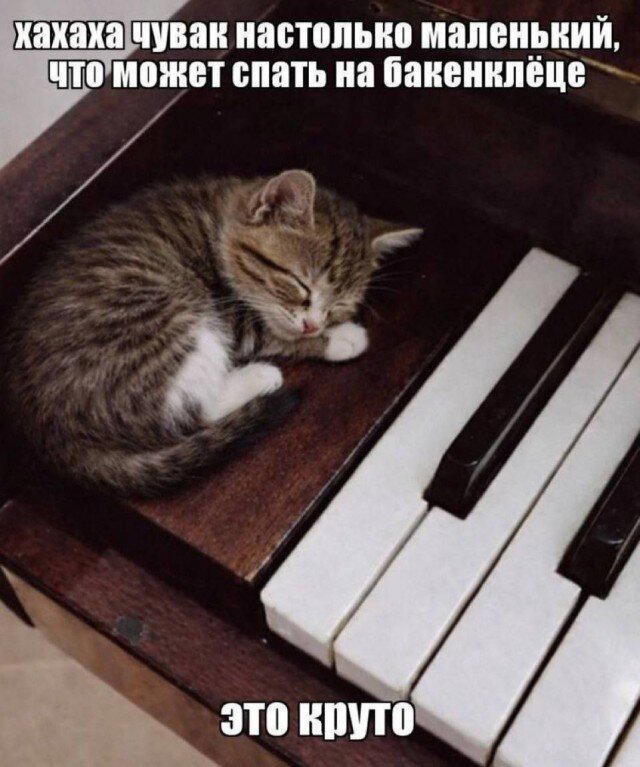 Дичка на хорошую неделю