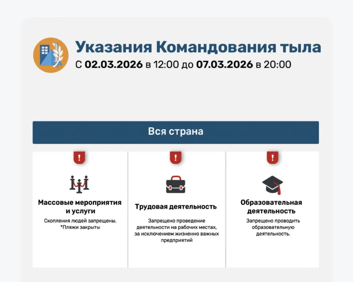 Ведро мышей, или взгляд изнутри войны