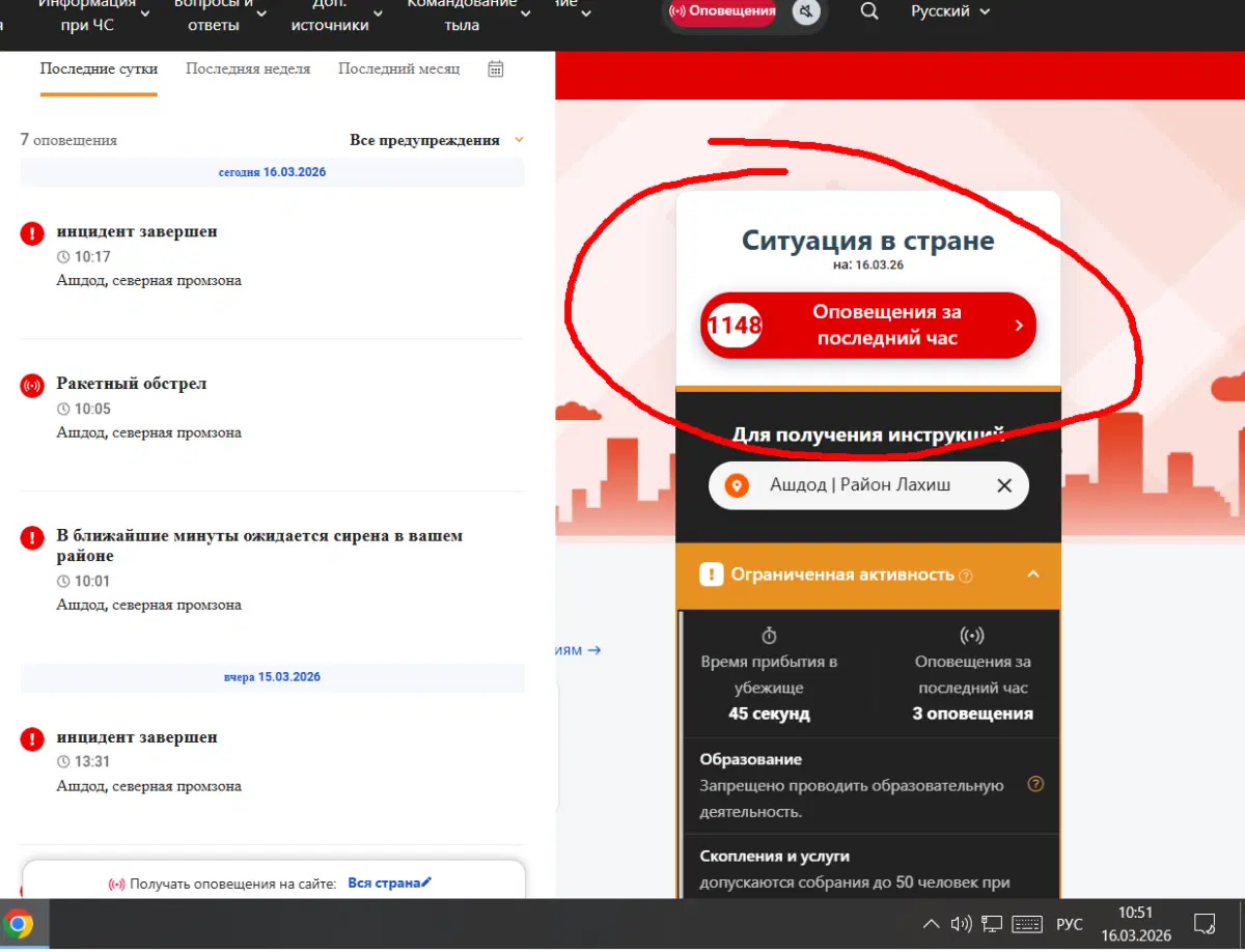 Ведро мышей, или взгляд изнутри войны