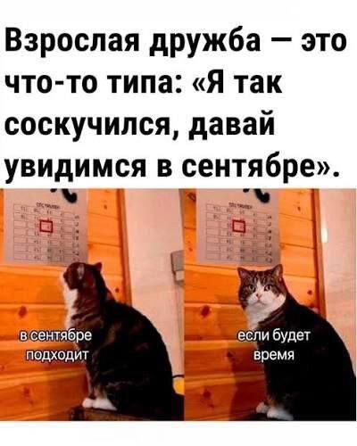 Дички вам из отпуска