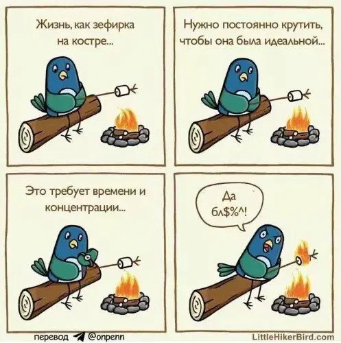 Дички вам из отпуска
