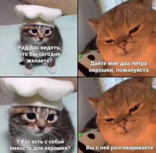 Дички вам из отпуска