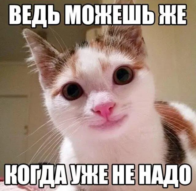 Дички вам из отпуска