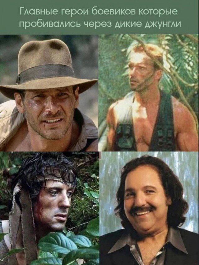 Дички вам из отпуска