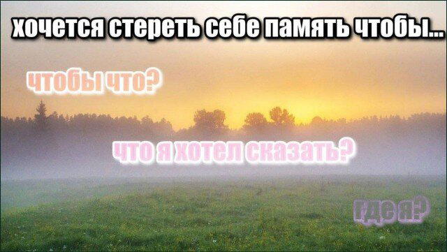 Дички вам из отпуска