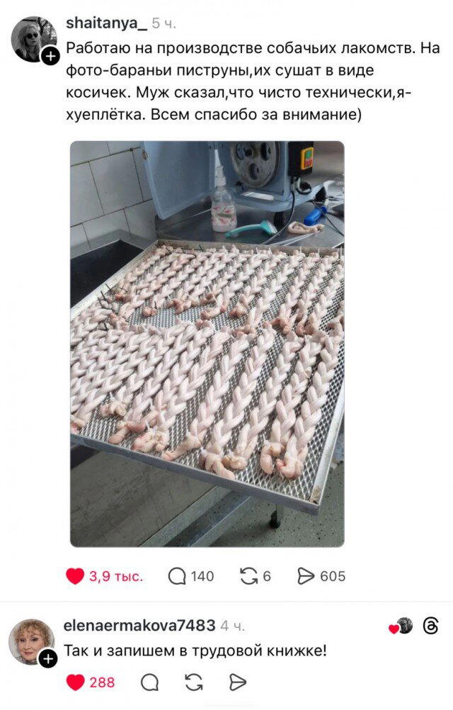 Дички вам из отпуска