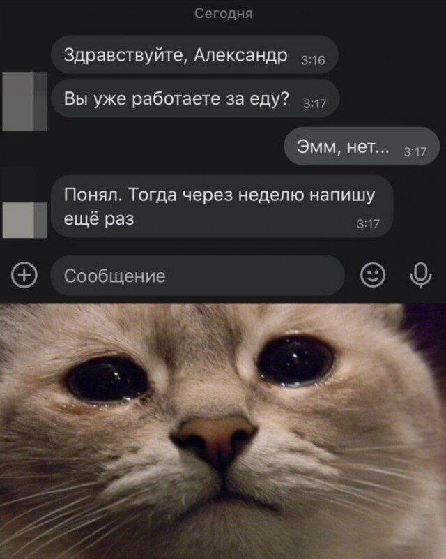 Дички вам из отпуска
