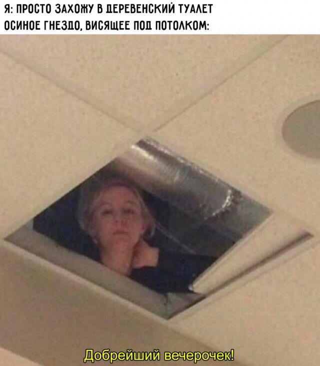 Дички вам из отпуска