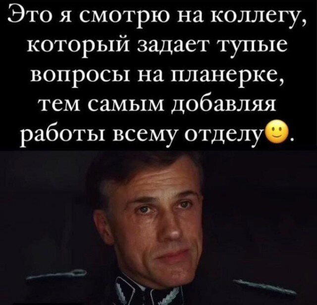 Дички вам из отпуска