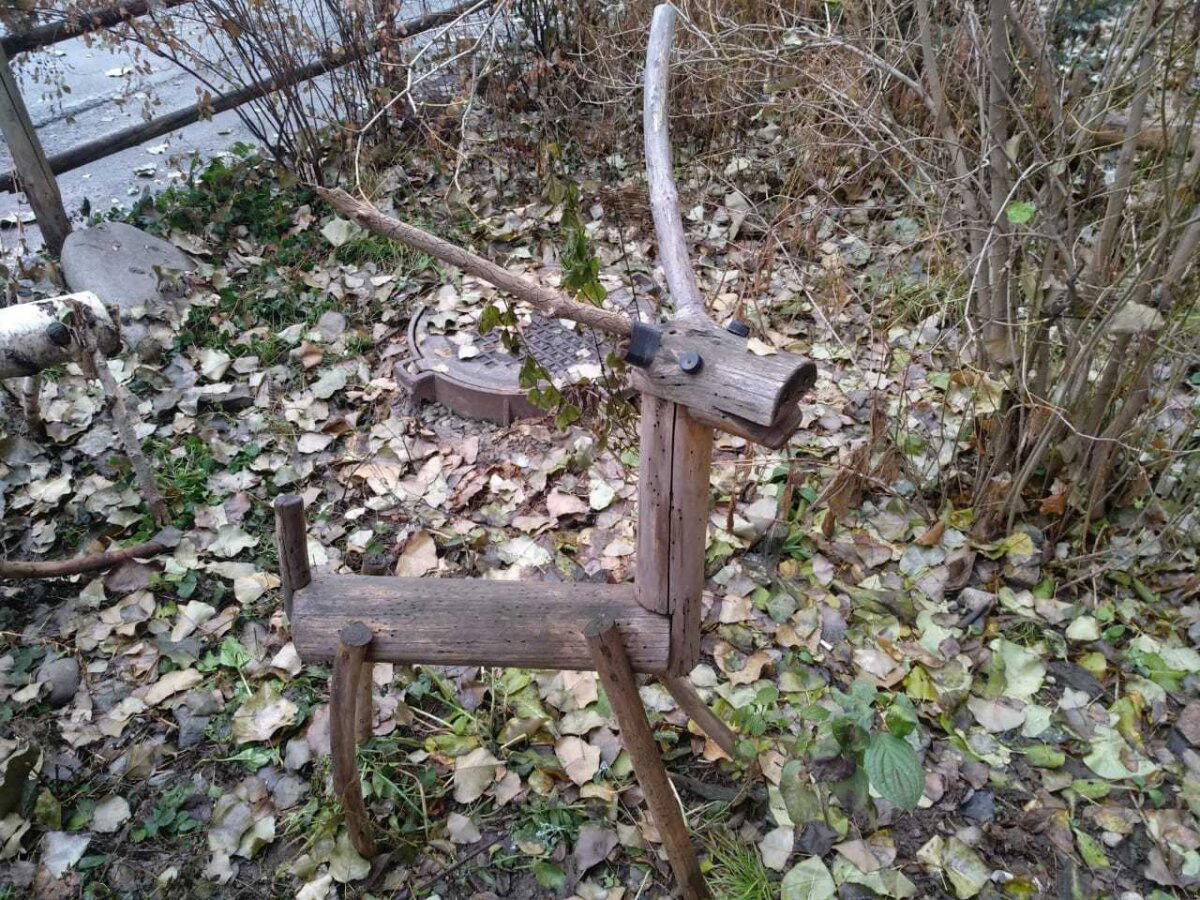 Шедевры из палисадника