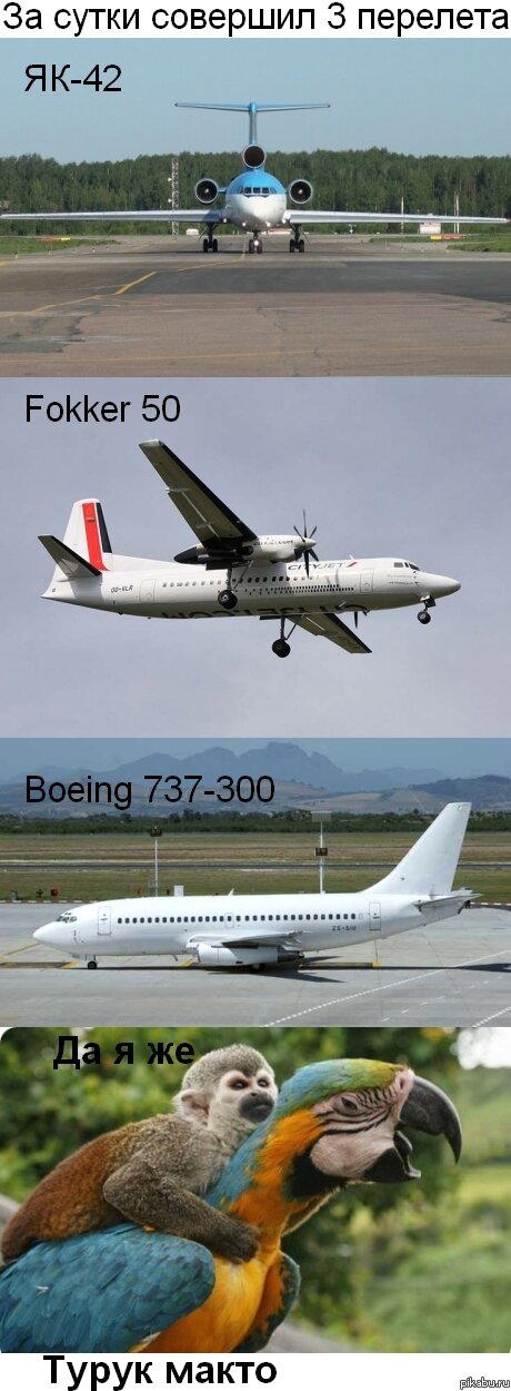 Братишка отжёГ