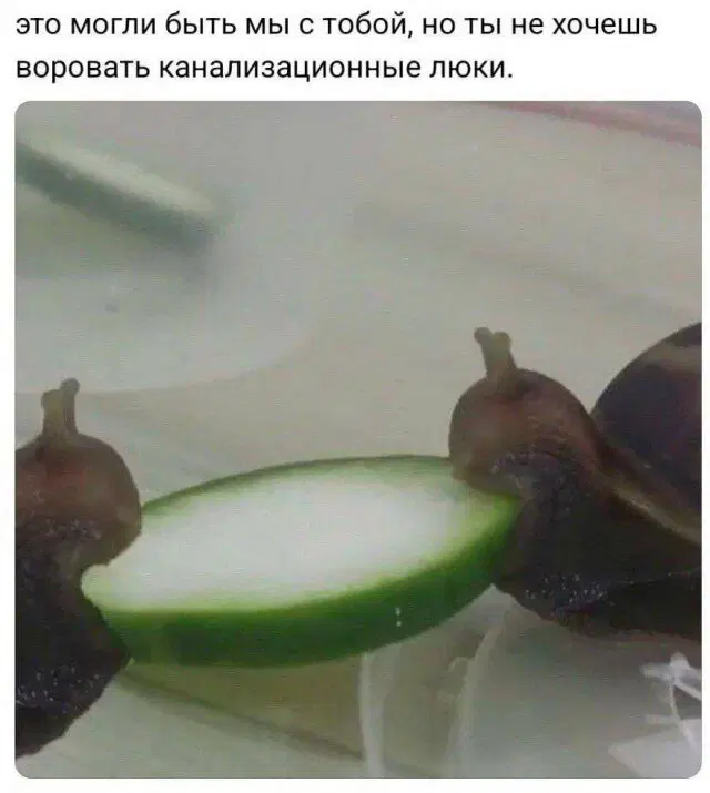 Дички из отпуска часть 2