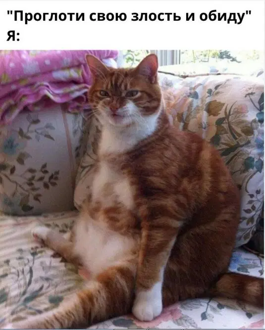 Дички из отпуска часть 2