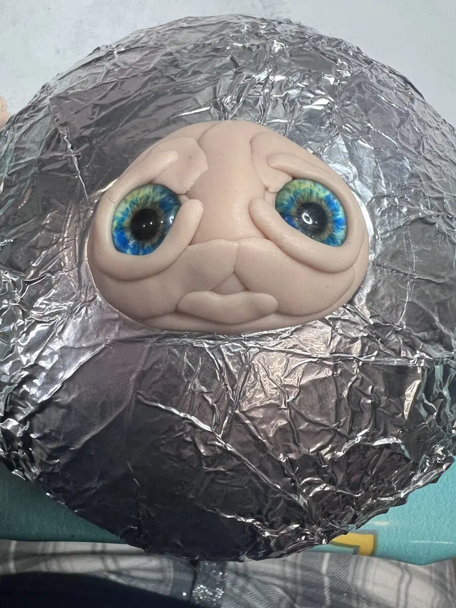 Будущая овечка) вначале все мордочки выглядят вот так страшненько)