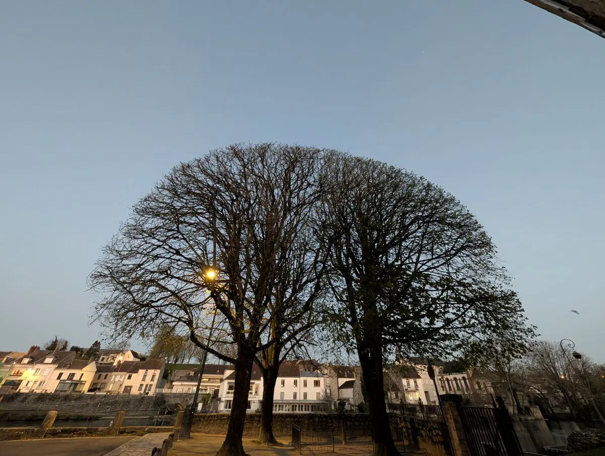 Аккуратные кроны