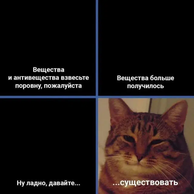 Дичи из отпуска