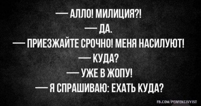 Дичи из отпуска