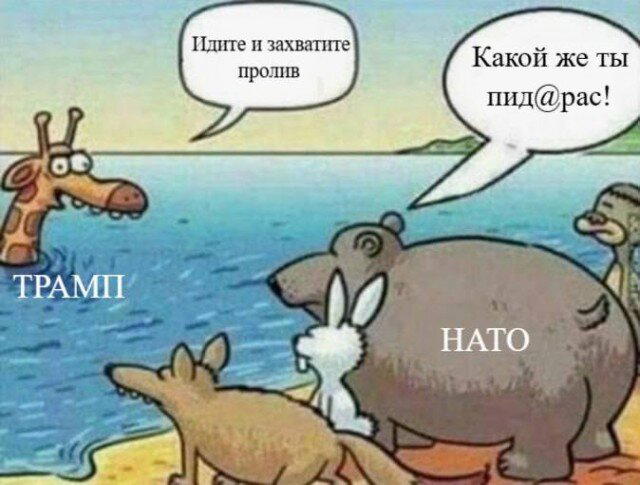 Дичи из отпуска