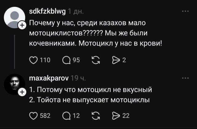 Дичи из отпуска